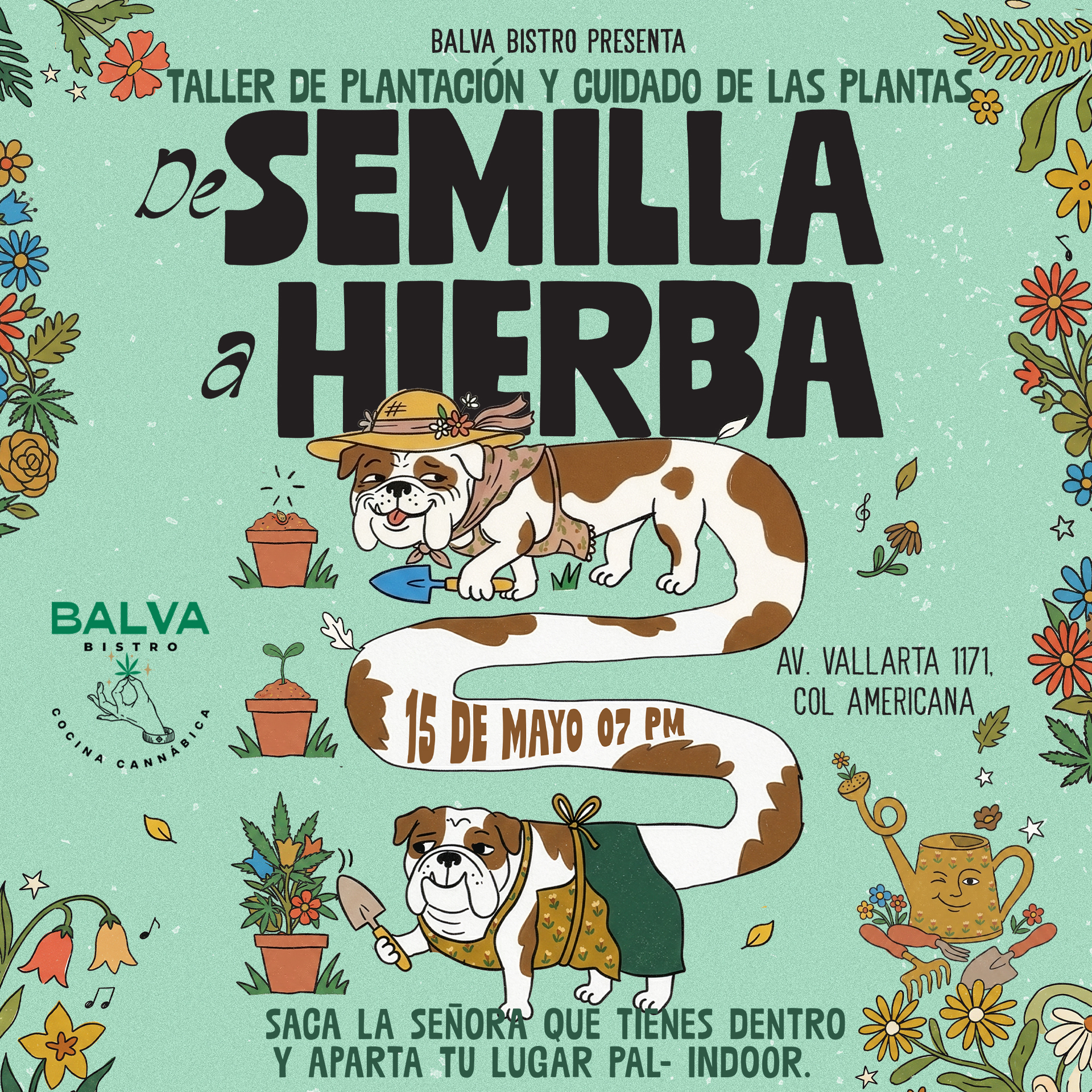 WEED NEWS – Balva Bistro- Cocina Cannábica